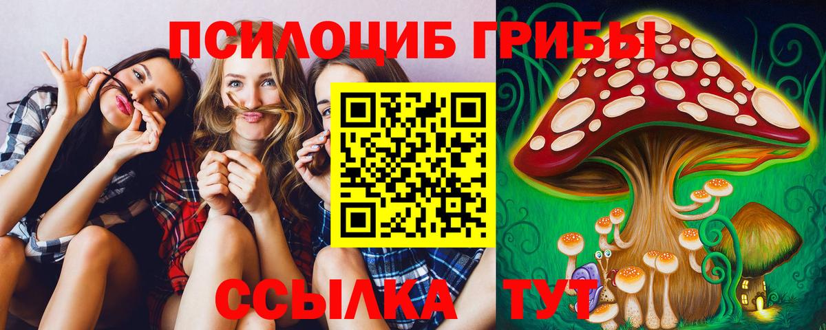 Псилоцибиновые грибы Psilocybine cubensis  Вход с VPN  Михайловка 